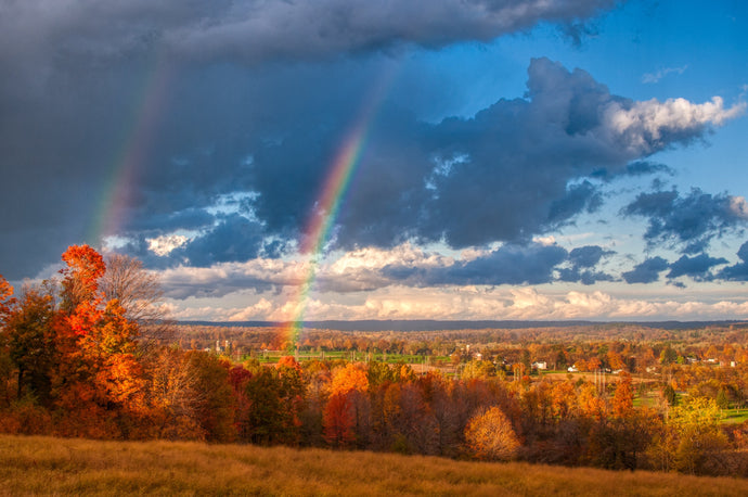 Looking for the perfect tone? Here are the Fall colours for 2022