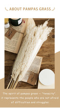 Load image into Gallery viewer, Pampas Grass Decor White Color Fluffy Natural Dried Flowers
