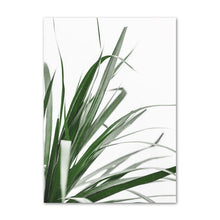 Load image into Gallery viewer, White Tulip Green Orchid Aloe Wall Art
