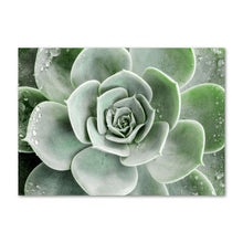 Load image into Gallery viewer, White Tulip Green Orchid Aloe Wall Art
