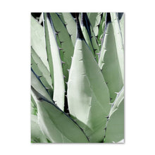 Load image into Gallery viewer, White Tulip Green Orchid Aloe Wall Art
