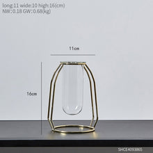 Load image into Gallery viewer, Glass Hydroponic Vase
