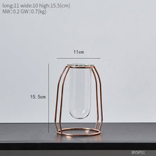 Load image into Gallery viewer, Glass Hydroponic Vase
