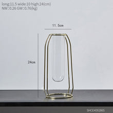 Load image into Gallery viewer, Glass Hydroponic Vase
