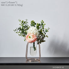 Load image into Gallery viewer, Glass Hydroponic Vase
