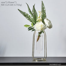 Load image into Gallery viewer, Glass Hydroponic Vase
