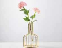 Load image into Gallery viewer, Glass Hydroponic Vase
