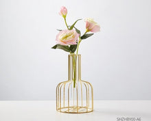 Load image into Gallery viewer, Glass Hydroponic Vase
