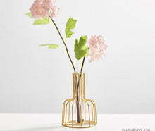 Load image into Gallery viewer, Glass Hydroponic Vase
