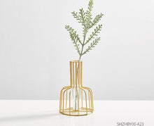 Load image into Gallery viewer, Glass Hydroponic Vase
