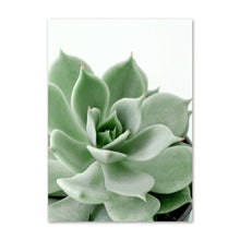 Load image into Gallery viewer, White Tulip Green Orchid Aloe Wall Art
