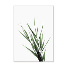 Load image into Gallery viewer, White Tulip Green Orchid Aloe Wall Art
