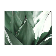 Load image into Gallery viewer, White Tulip Green Orchid Aloe Wall Art
